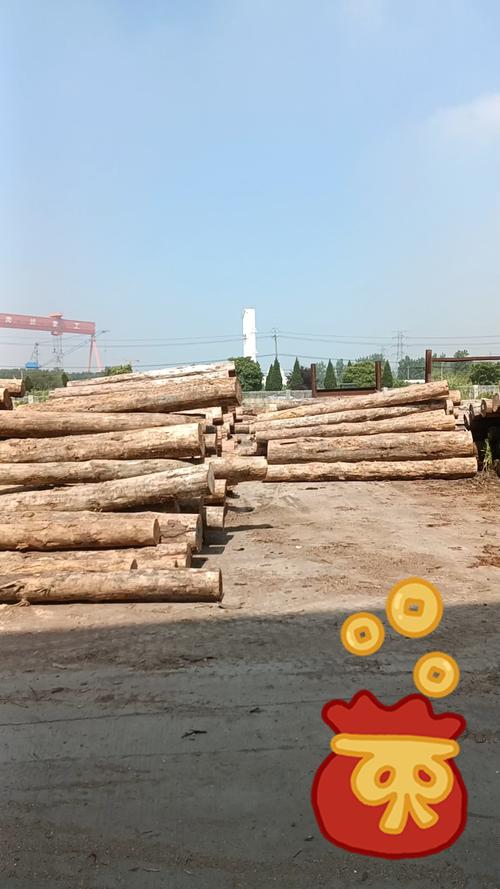 木材厂 从绿色资源到绿色财富的掘金之路